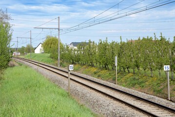 Railway tracks in the countryside next to plantations