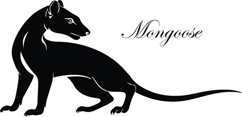 Meerkats - Mongoose silhouette