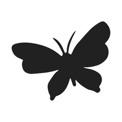 Beautiful butterfly illustration on white background