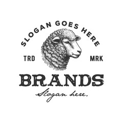 sheep head vintage logo hand drawn vector template illustration