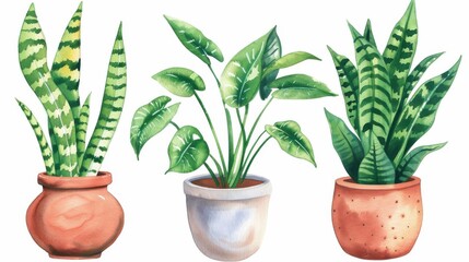 Obraz premium Vibrant watercolor plants in pots showcase indoor and outdoor beauty. Ideal for invitations, cards, and stylish prints.