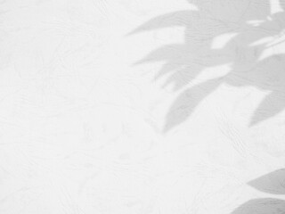 Shadow light summer background sunight overlay nature on room cement wall floor abstract blur muckup effect grey minimal platform for presentation product backdrop, wallpaper template display.