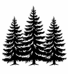 Obraz premium Silhouette of three tall pine trees against a white background.