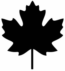 Silhouette of a maple leaf, showcasing its iconic shape and detailing.