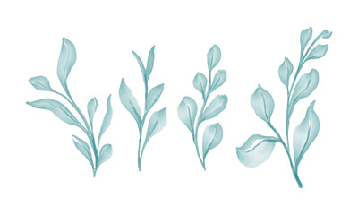 Watercolor leaves brunch floral design collection on white background