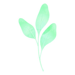 Watercolor leaves brunch floral design