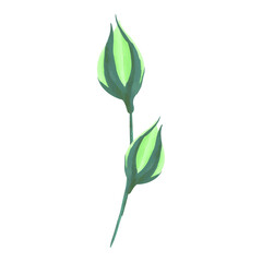 Watercolor flowers illustration on white background