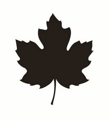 Fototapeta premium Silhouette of a maple leaf on a white background.
