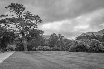 Muckross, Ireland - June 8 2024 