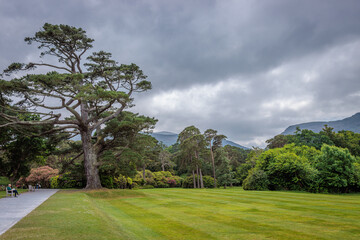 Muckross, Ireland - June 8 2024 