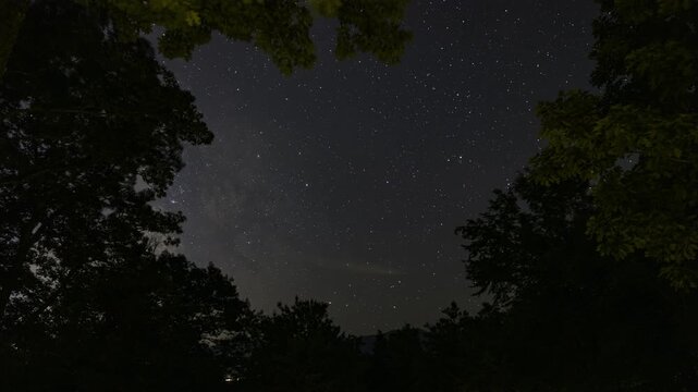 Milky Way @ White Mountain National Forest