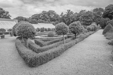 Muckross, Ireland - June 8 2024 