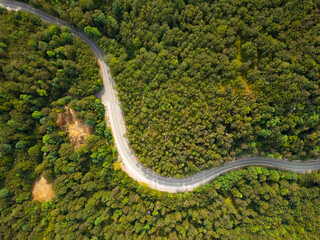 Aerial top view of curve mountain road on a hill in a beautiful lush green-yellow forest. Nature landscape background from drone