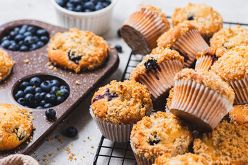 Blueberry muffins and blueberry berries