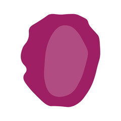 Mesothelial cell 