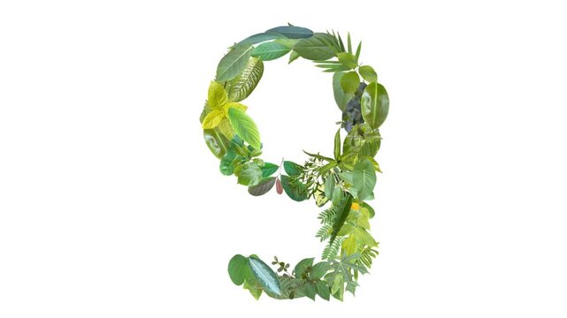 video of number 9, the number is formed from the arrangement of fallen leaves, floral concept.