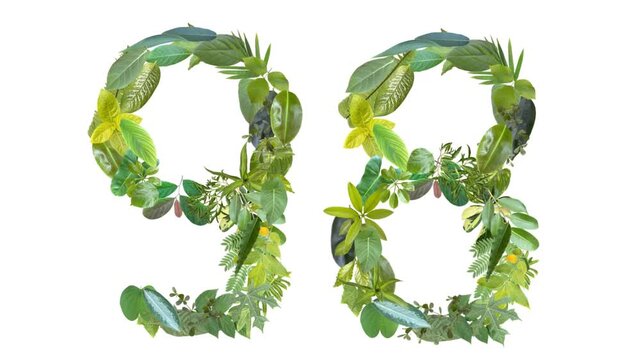 video of number 98, the number is formed from the arrangement of fallen leaves, floral concept