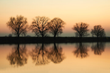 Fototapeta premium Evening sunset calm spring river bank with trees