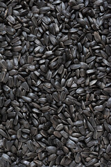 Sunflower seeds background, closeup of roasted seeds. Close up of sunflower seeds as background, top view