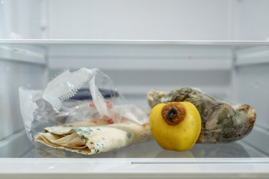 Moldy meal wrapped in cling film in the refrigerator. Incorrect storage, spoiled product, expired concept. Part of a series