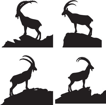 ibex silhouette, ibex icon, ibex vector, 
