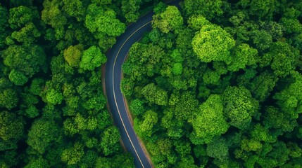 From above, an asphalt road passes through a green forest, a curve asphalt road follows a mountaintop and passes green forest.