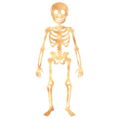 Halloween golden foil skeleton silhouette icon 