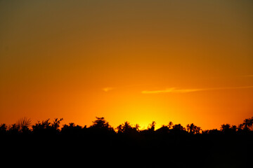 sunset in the field