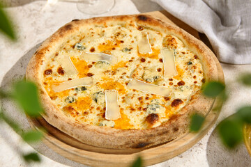 Delicious Four Cheese Pizza in Sunlit Summer Shadows