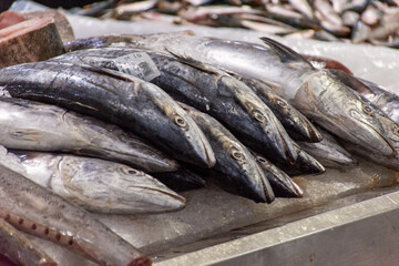 Fresh fish in Waterfront Market in Dubai City, United Arab Emirates.