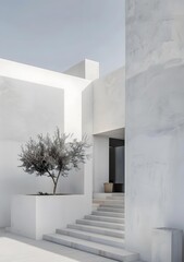 Minimalist White Modern House Entrance with Olive Tree
