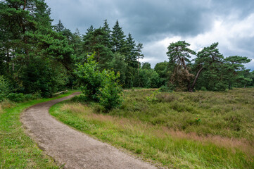 Dirty country road through the green fields and woods at the Dutch countryside around Weerselo, Weerselo, The Netherlands