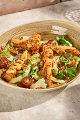 Fresh Tempura Chicken Fillet Salad with Spicy Sauce in Sunlit Setting