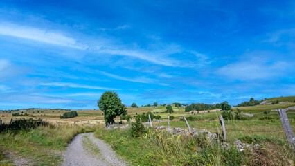 Paysage pittoresque du plateau de l'Aubrac sur le chemin de Saint Jacques de Compostelle en été