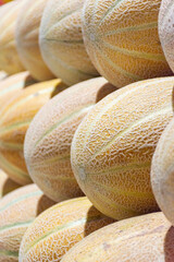 Cantaloupes in a market in Dubai City, UAE.