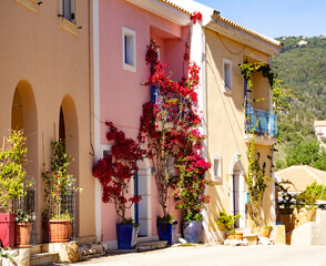 Colorful Mediterranean Houses with Bougainvillea