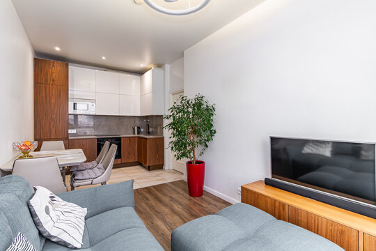 Living room with kitchen in one room small studio apartment with sofa, TV, nightstand, table with chairs, potted green tree.
