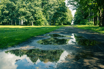 A park with a path that is wet from rain