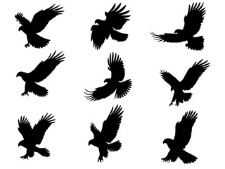 Fototapeta premium set of eagle silhouettes, Eagle silhouette set vector design big pack of illustration and icon