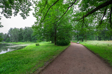 A tranquil path winds through vibrant greenery beside a calm river, inviting peaceful moments, early morning serenity, and nature's gentle embrace.