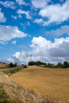A solitary wind turbine stands tall amid golden fields under a sky with fluffy white clouds, representing the intersection of agricultural landscapes and green energy solutions in Tarragona Spain