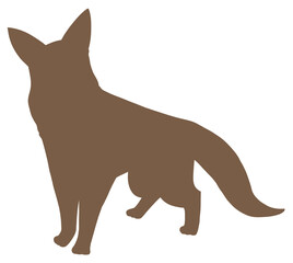 German shepherd looking at me