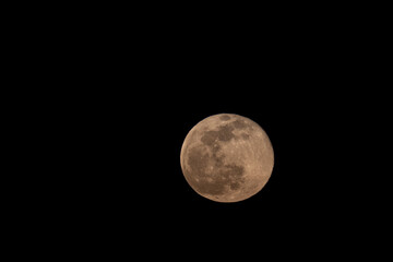 full moon in the night