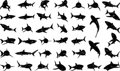 sharks in different angles set, silhouette collection, on white background vector