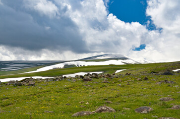 rocks, snow and blooming flowers on the slopes of Mount Aragats in spring (Aragatsotn province,...