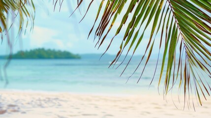 Fototapeta premium Tropical Paradise: Palm Leaf Framing a Tranquil Beach