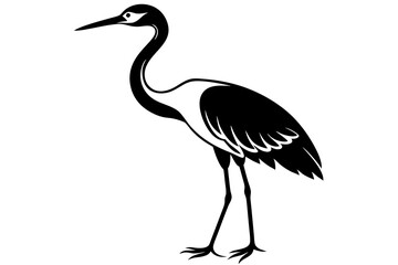 black crowned crane