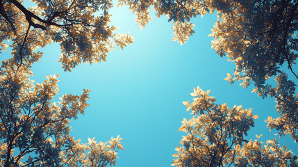 Close-up view of tree crown