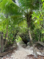 Seychellen, La Digue