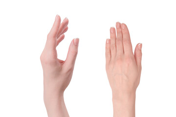 Woman hands with french manicure isolated on white bacckground.